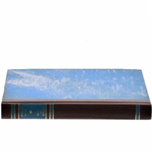 To mand - én skygge af Desmond Bagley (Bog)