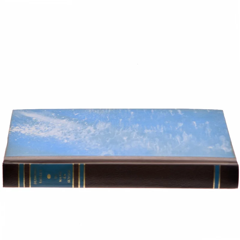 To mand - én skygge af Desmond Bagley (Bog)