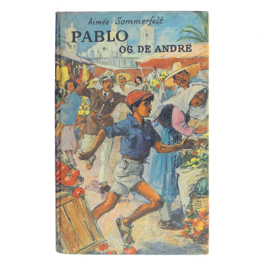 Pablo og de andre af Aimée Sommerfelt (Bog)