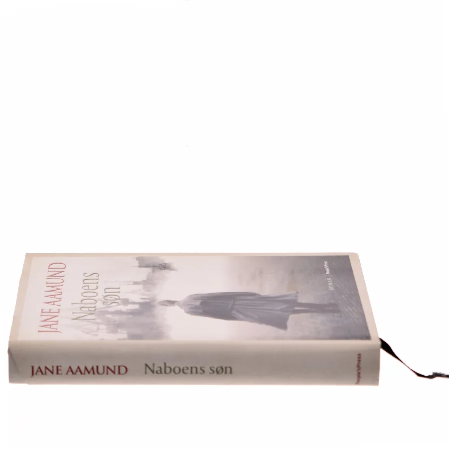 Naboens søn : roman af Jane Aamund (Bog)