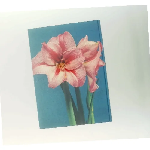 Blomsterløg og frø (Bog)