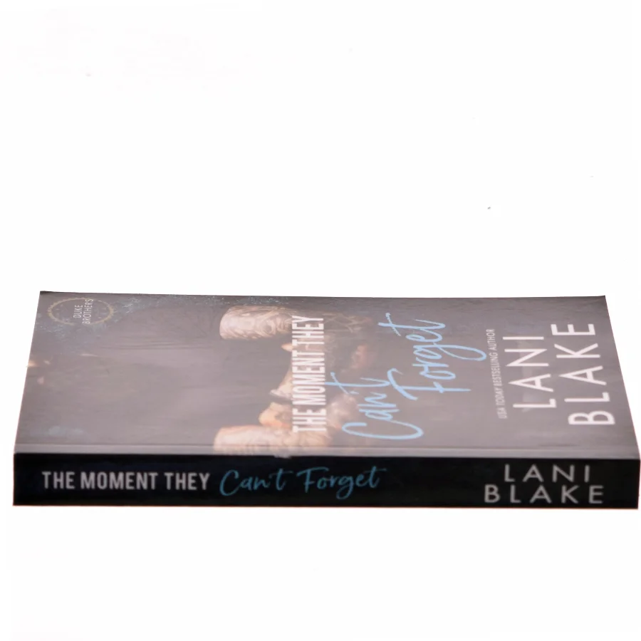 The Moment They Can't Forget af Lani Blake (Bog)