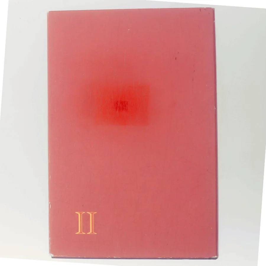 Den Romerske Familie af Colleen McCullough (Bog)