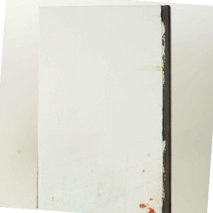 Svinehunde af Lotte Hammer (Bog)