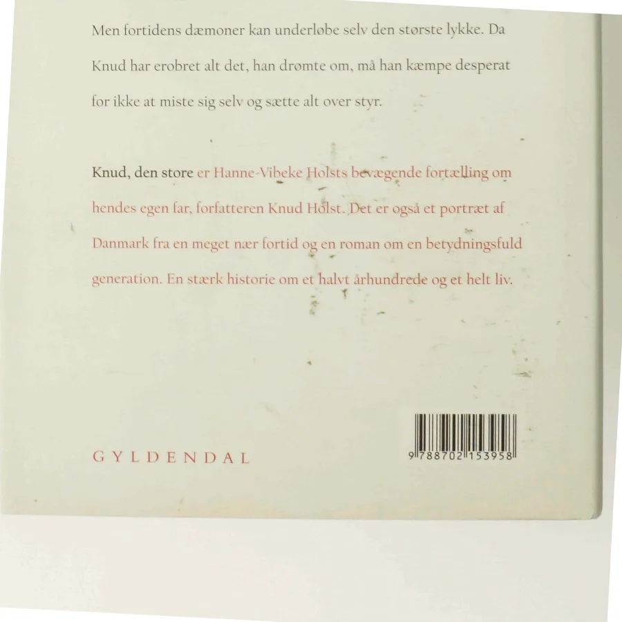 Knud, den store : roman af Hanne-Vibeke Holst (Bog)