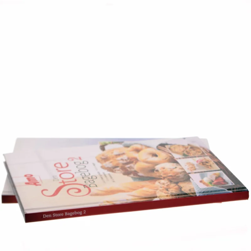 Den Store Bagebog 2 (Bog)