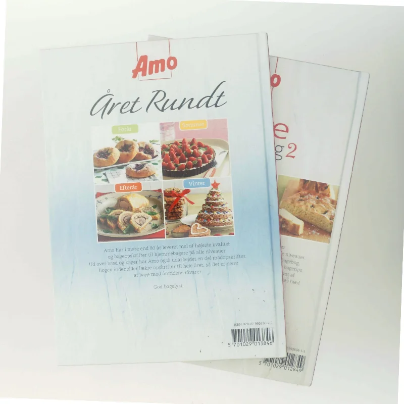 Den Store Bagebog 2 (Bog)