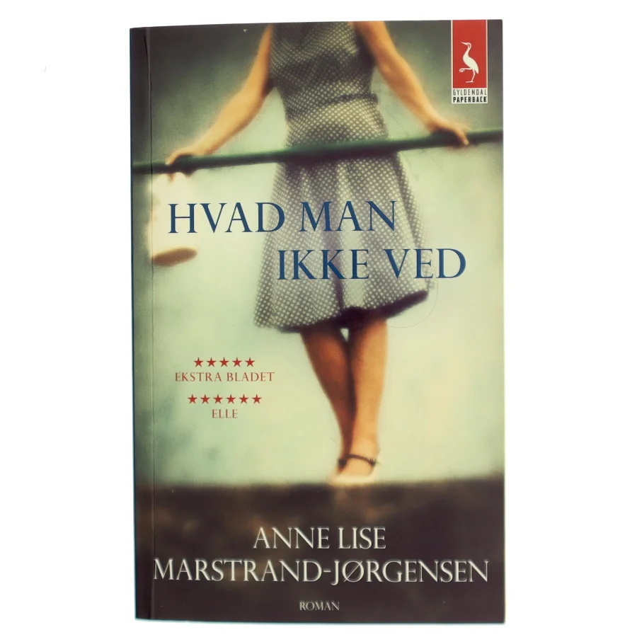 Hvad man ikke ved : roman af Anne Lise Marstrand-Jørgensen (Bog)