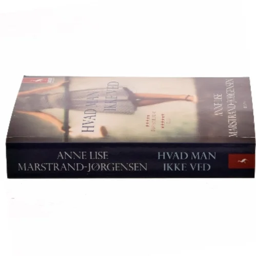 Hvad man ikke ved : roman af Anne Lise Marstrand-Jørgensen (Bog)