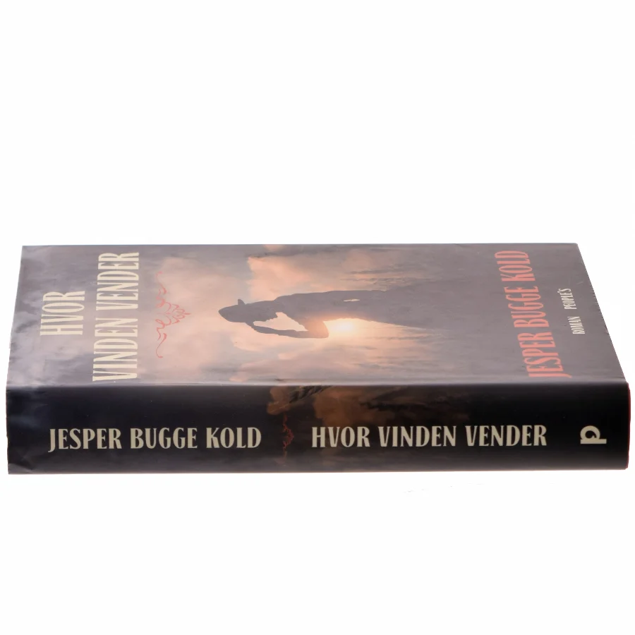 Hvor vinden vender : roman (Læsekredssæt) af Jesper Bugge Kold (Bog)