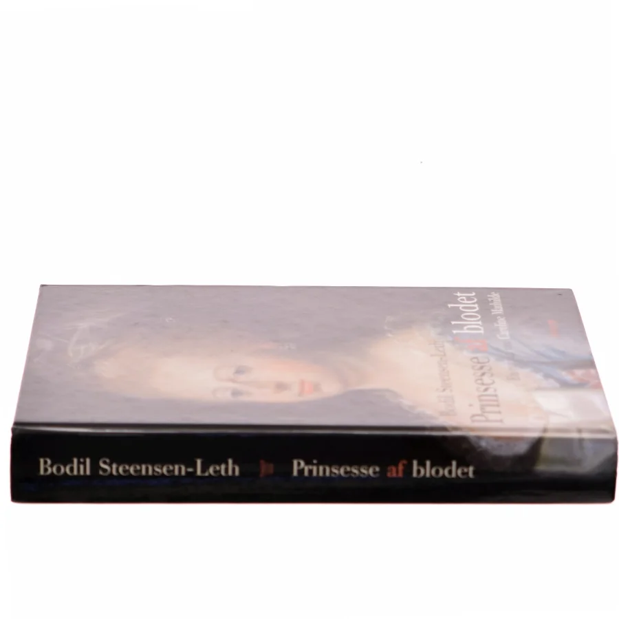 Prinsesse af blodet af Bodil Steensen-Leth (Bog)