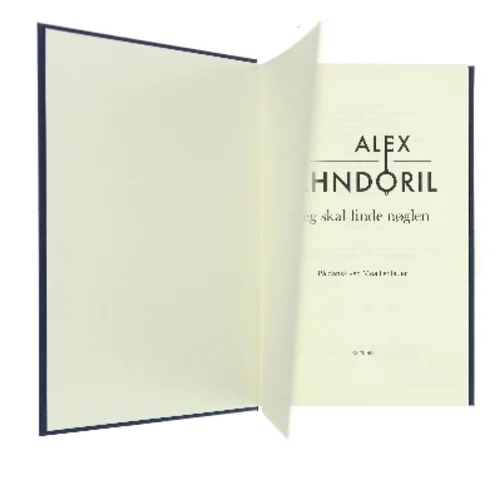 Jeg skal finde nøglen af Alex Ahndoril (Bog)