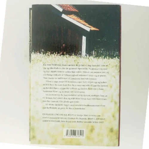 En fortælling om hr. Roos af Håkan Nesser (Bog)