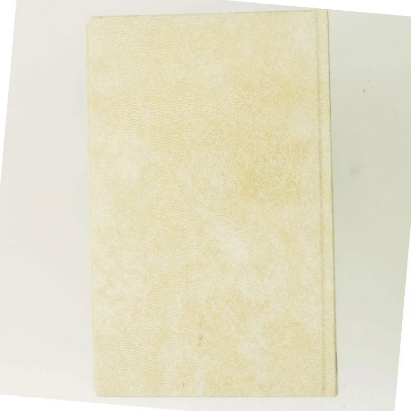 Ravenswyke af Wilbur Smith (Bog)