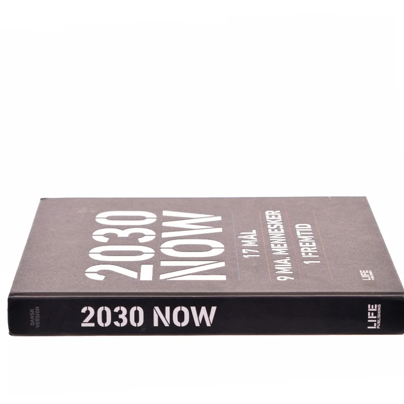 2030 NOW af Susanne Sayers (Bog)