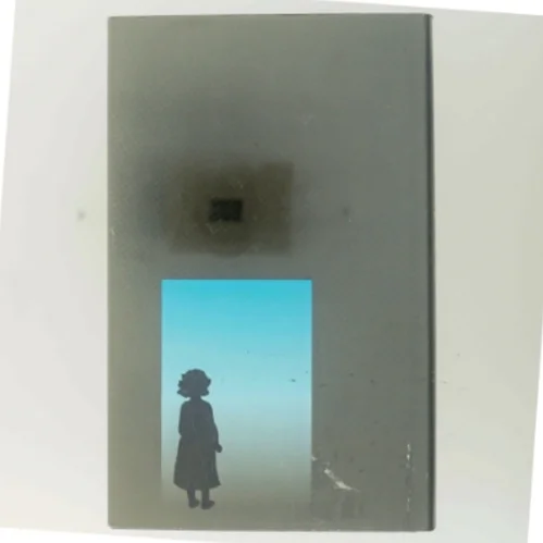 KARNAS ARV Bog fra Gyldendal