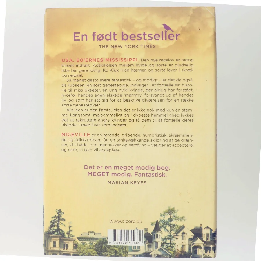 Niceville af Kathryn Stockett (Bog)