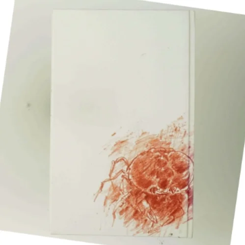 I krebsegang af Günter Grass (Bog) fra Günter Grass