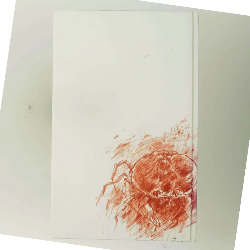 I krebsegang af Günter Grass (Bog) fra Günter Grass