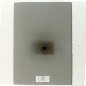 Stenhuggeren af Camilla Läckberg (Bog)