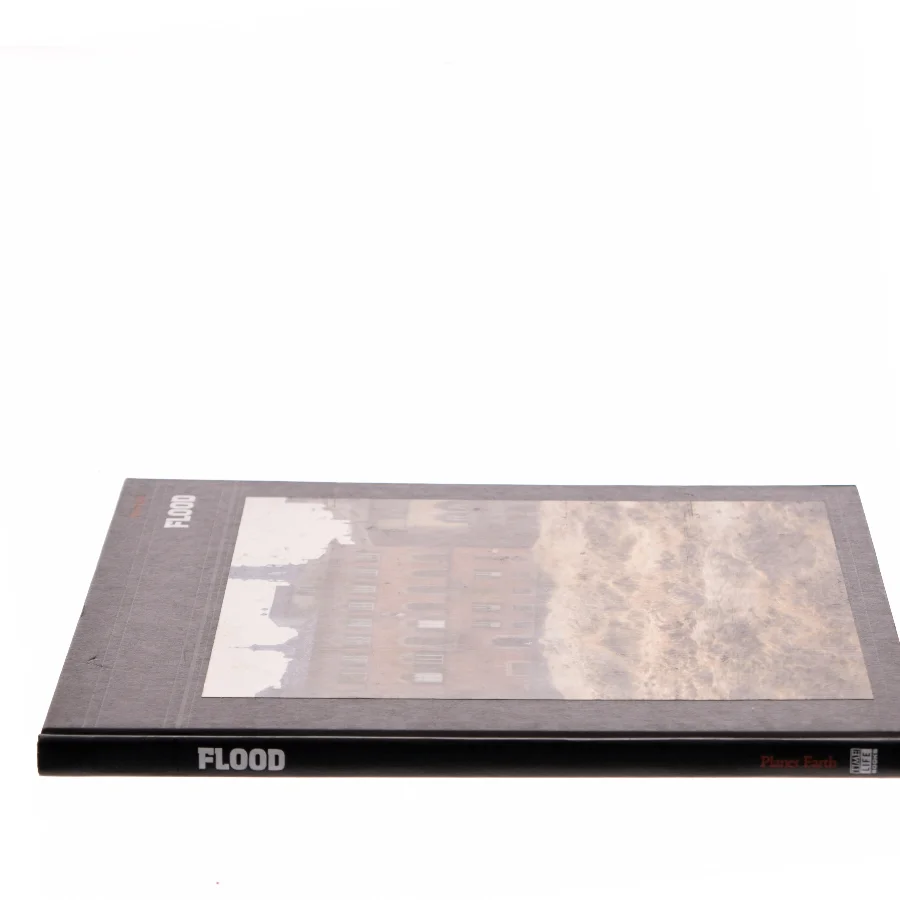 Flood (Bog)