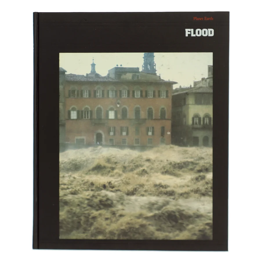 Flood (Bog)