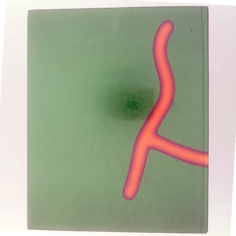 Det store H af <Bogens forfattere> (Bog)