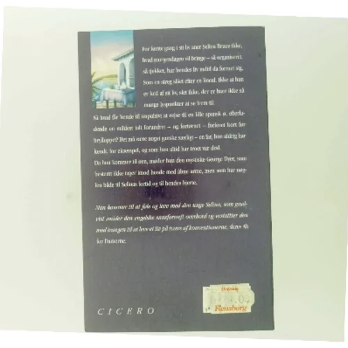 Kærlighed i blåt af Rosamunde Pilcher (Bog)