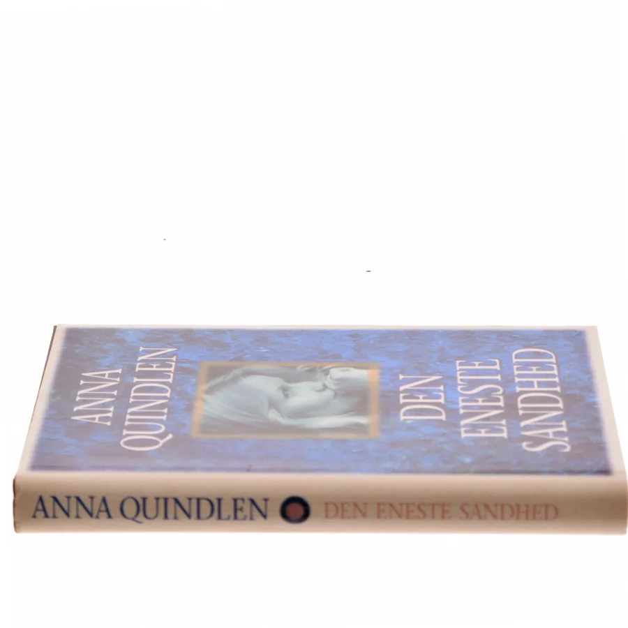 Den eneste sandhed af Anna Quindlen