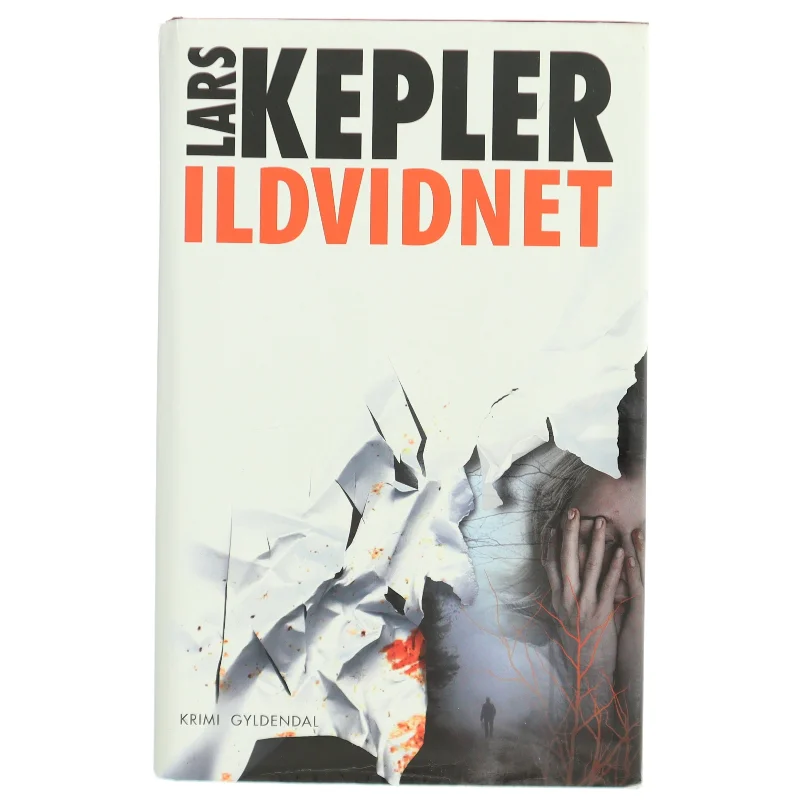 Ildvidnet af Lars Kepler (Bog)