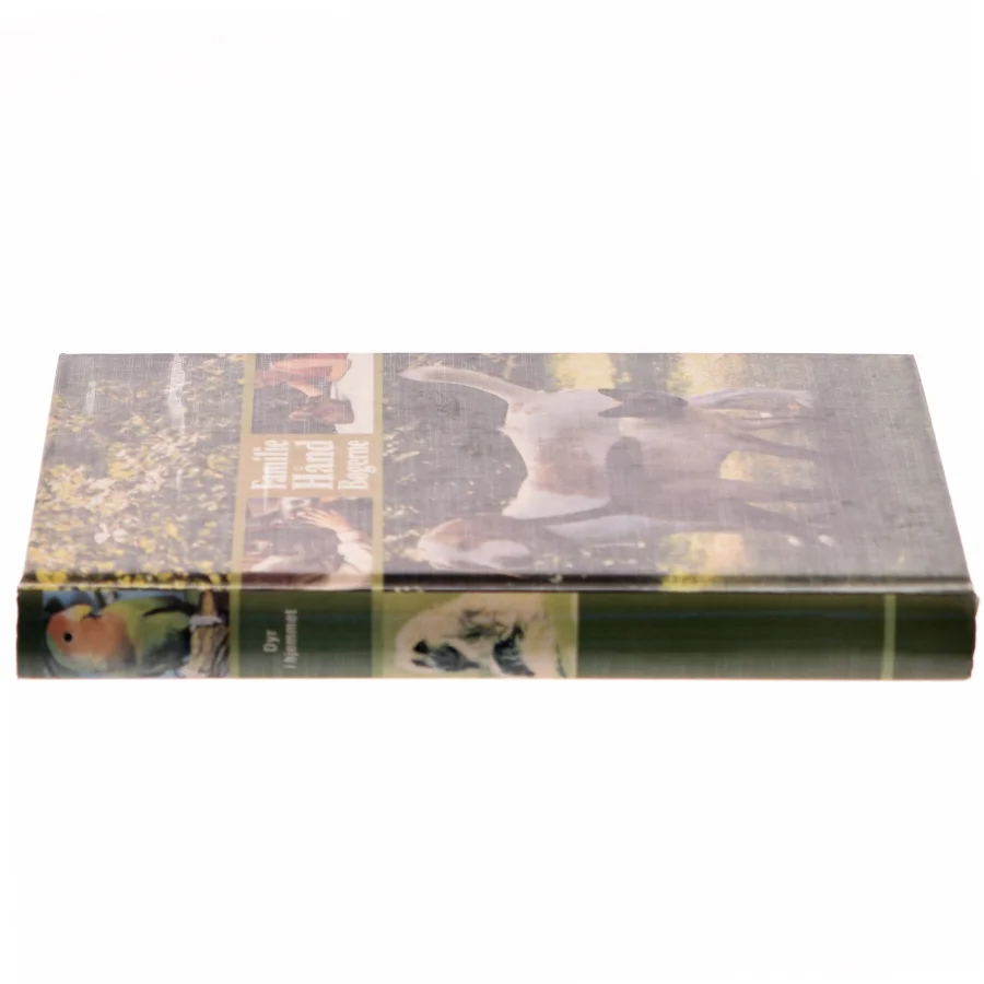 Familie Hånd Bøgerne (Bog)