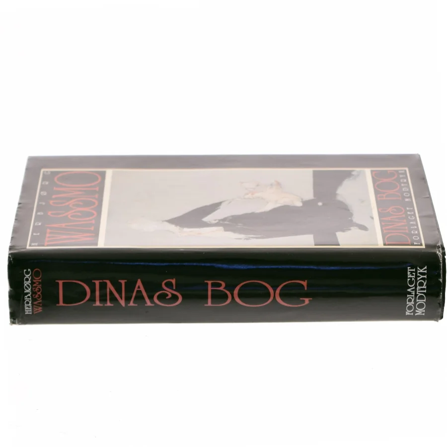 Dinas Bog af Herbjørg Wassmo (Bog)