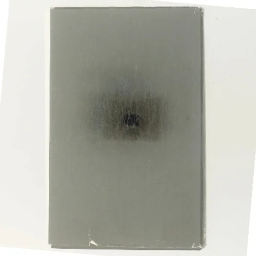 Dinas Bog af Herbjørg Wassmo (Bog)