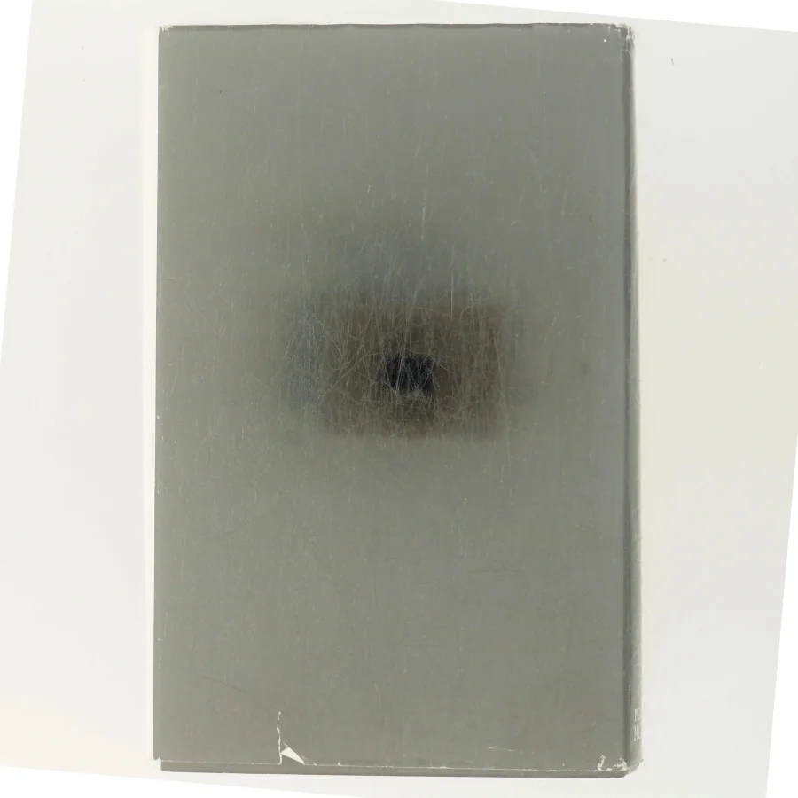 Dinas Bog af Herbjørg Wassmo (Bog)