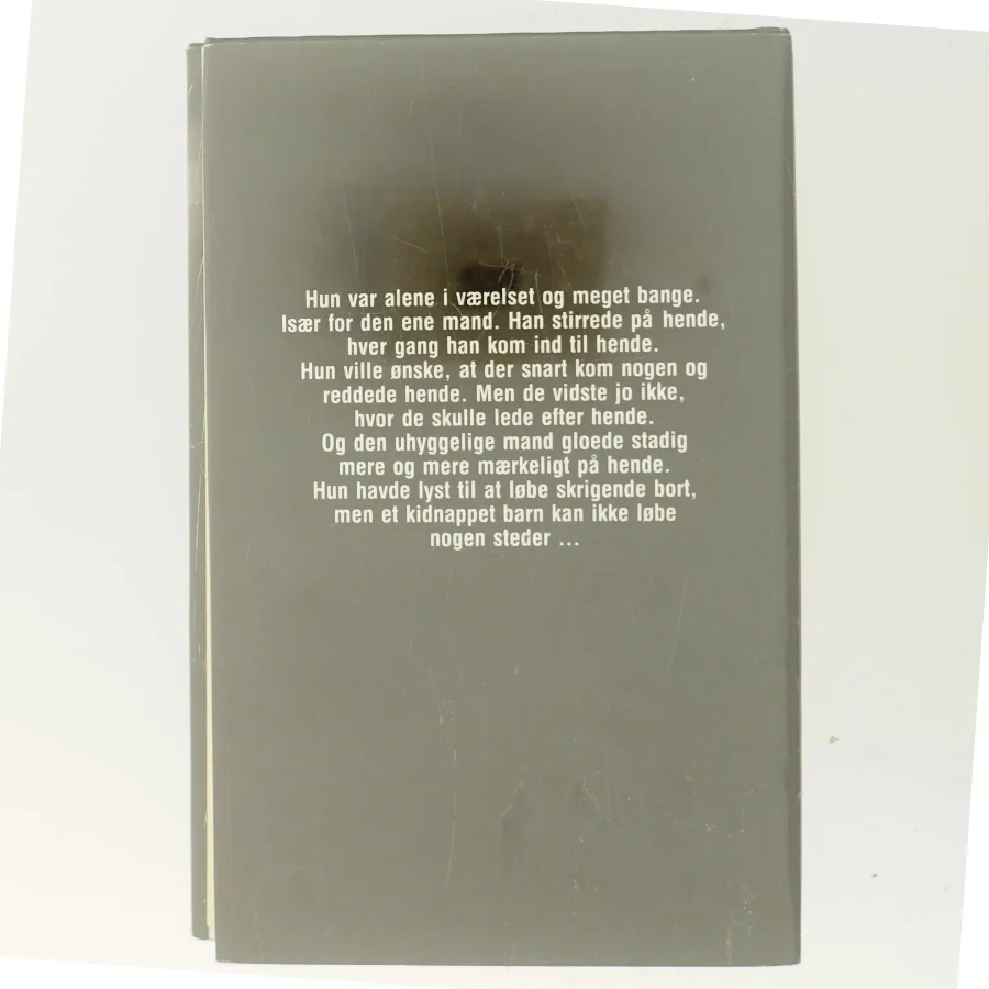 Blind Jagt af David Lorne (Bog)