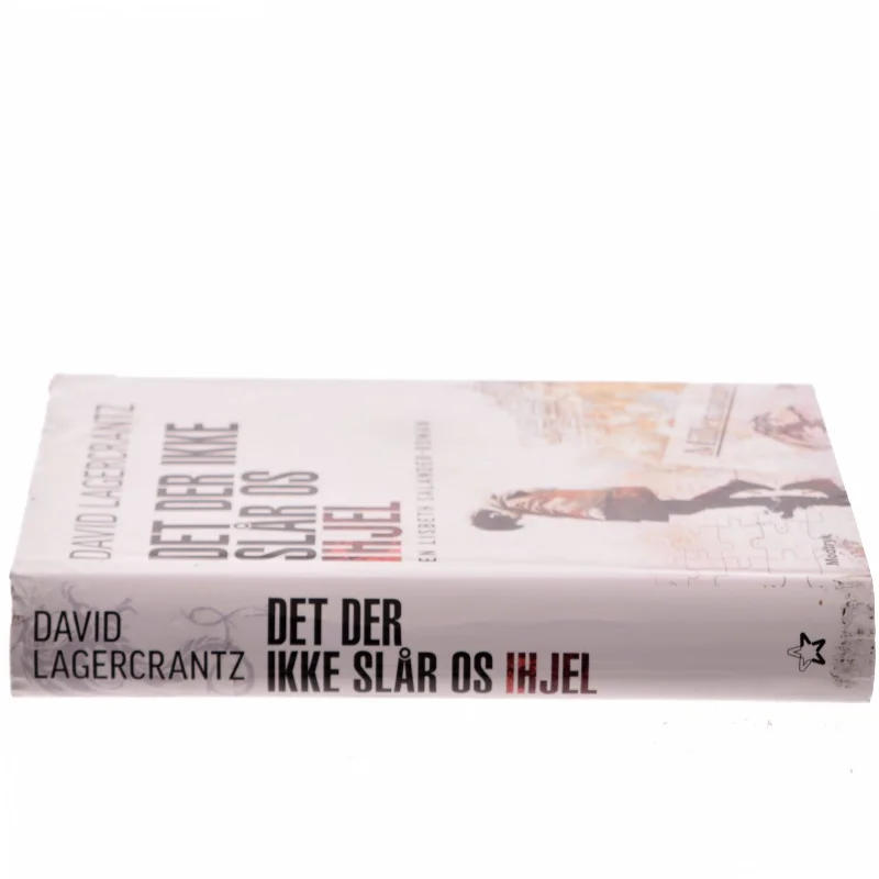Det der ikke slår os ihjel af David Lagercrantz (Bog)