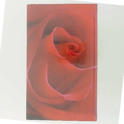 Den grønne port af Jane Aamund (Bog)