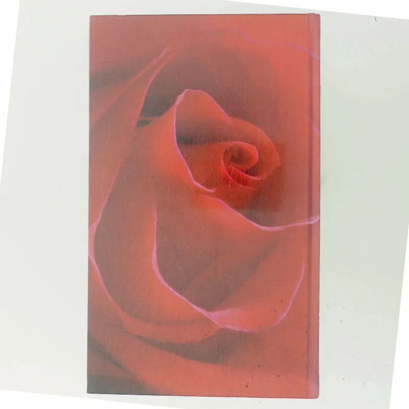 Den grønne port af Jane Aamund (Bog)