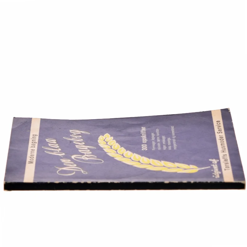 Den blaa Bagebog (Bog)