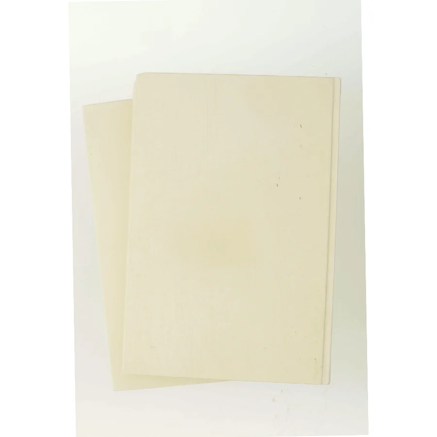 Helbrederen af Noah Gordon (Bog)