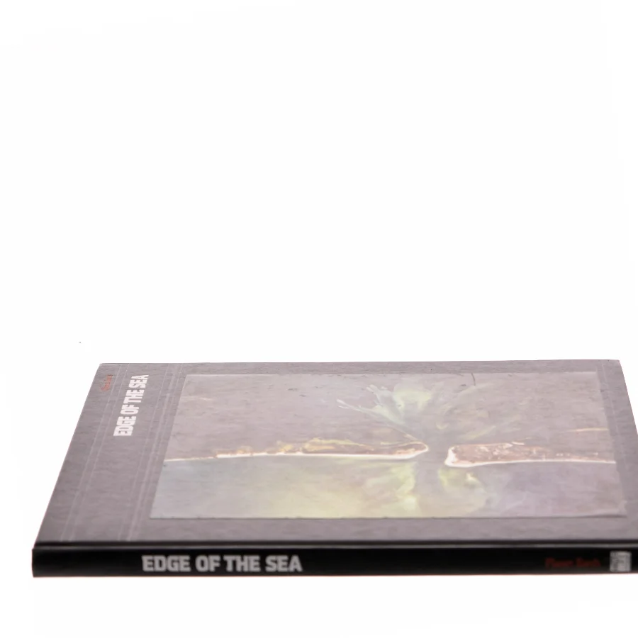 Edge of the Sea (Bog)