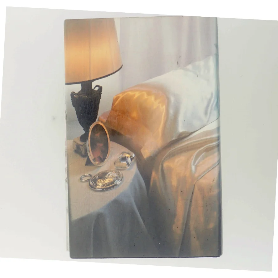 Silkehud af Shirley Conran (Bog)