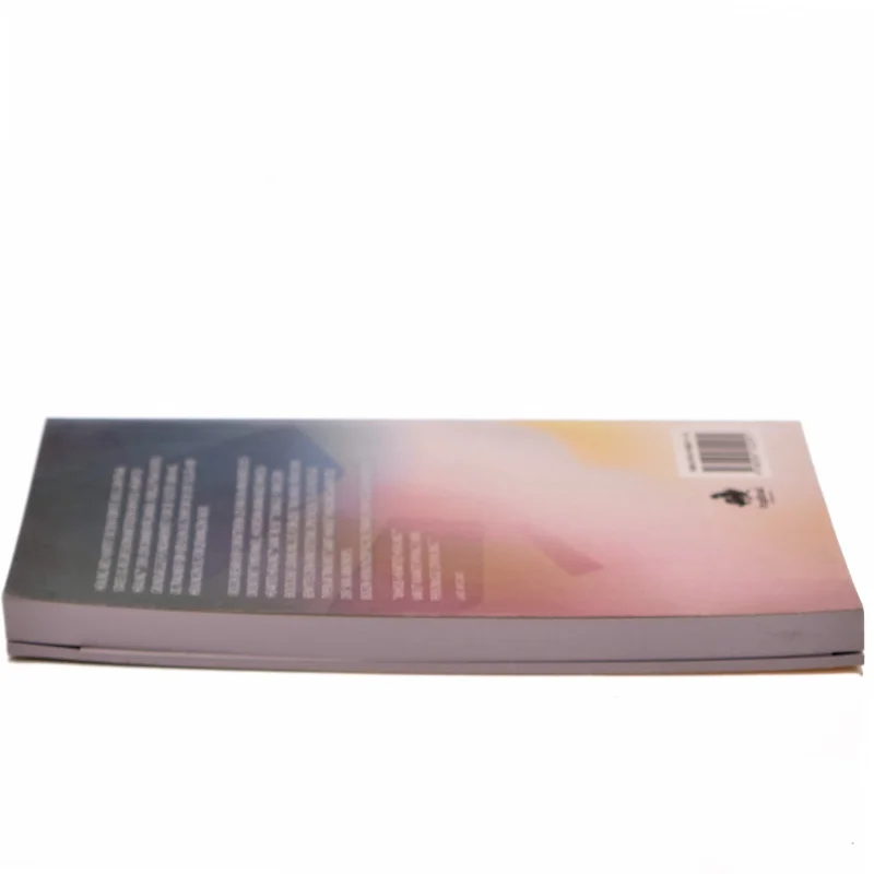 Healing med hjertet : en introduktion til Whole-Hearted Healing af Paula Courteau (Bog)