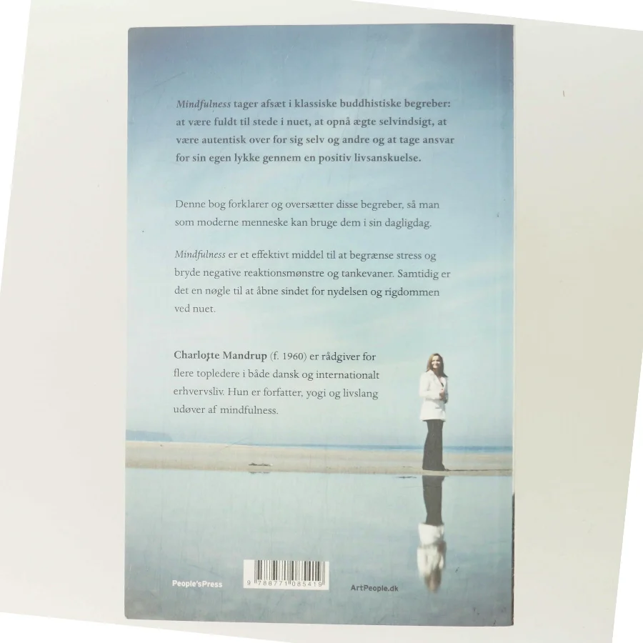 Mindfulness : ansvar, selvindsigt og fuld tilstedeværelse af Charlotte Mandrup (Bog)