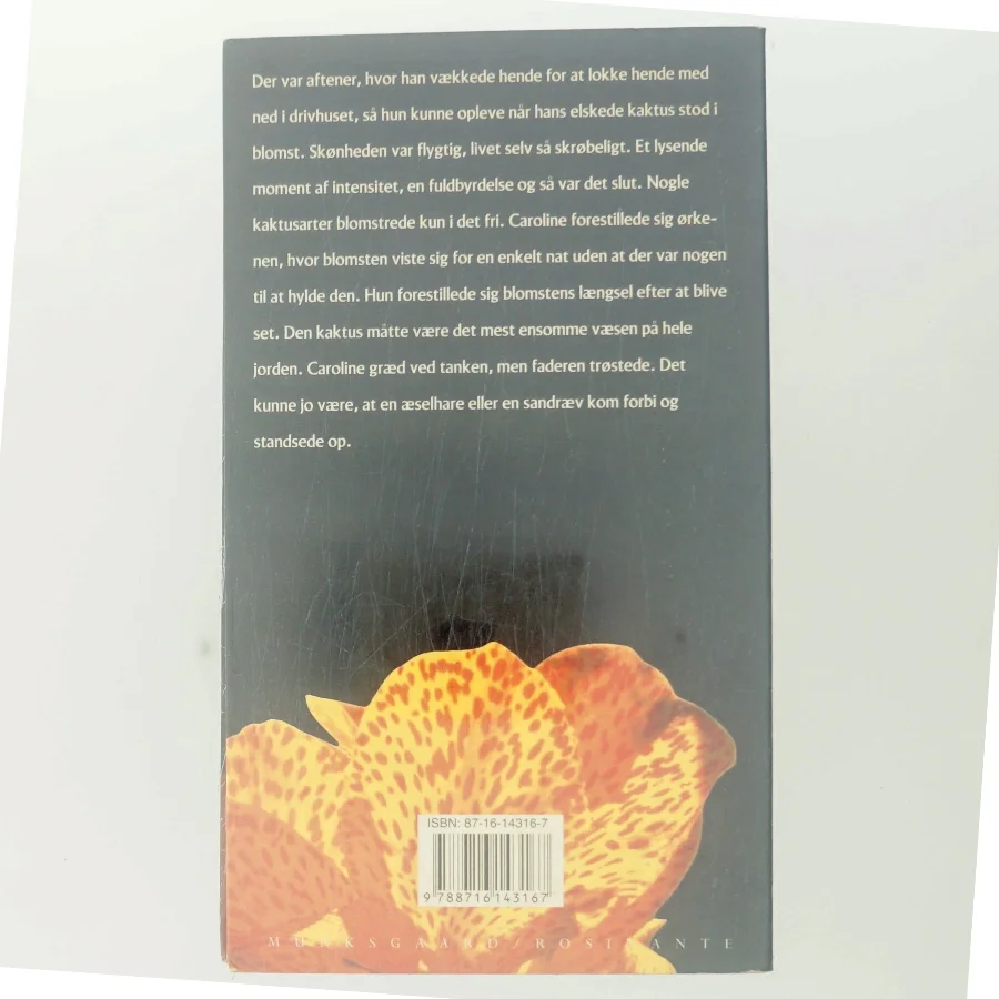 Tale for tavshed : roman af Lene Bagger (Bog)