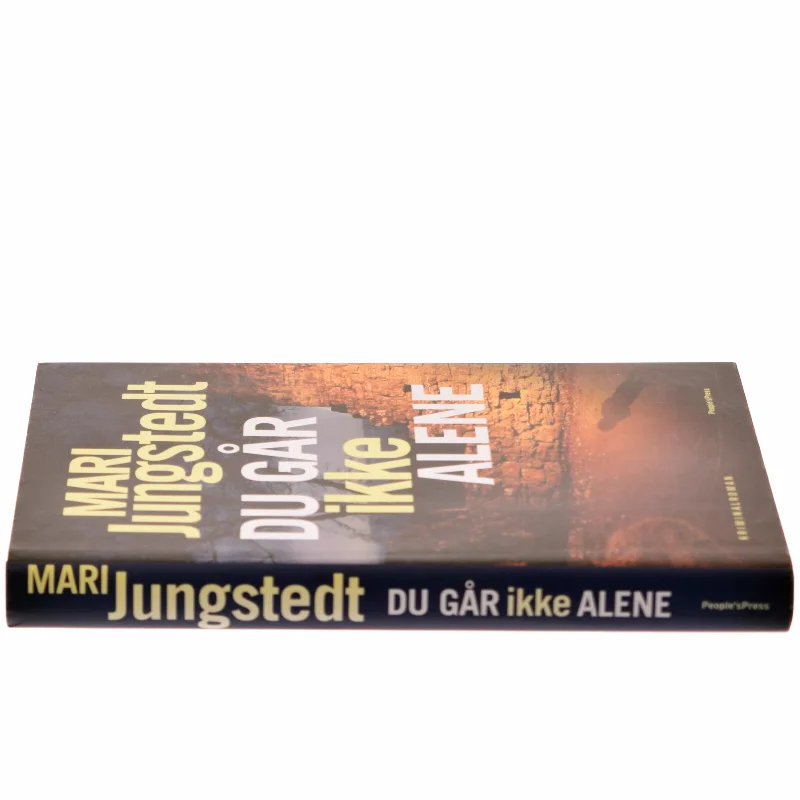 Du går ikke alene : kriminalroman af Mari Jungstedt (Bog)