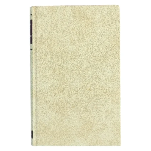 Den brændende kyst af Wilbur Smith (Bog)