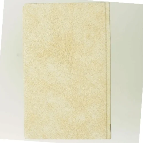 Den brændende kyst af Wilbur Smith (Bog)