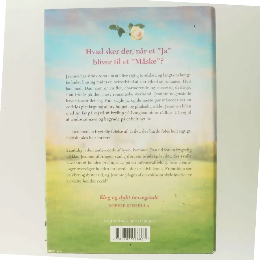 I medgang og modgang af Lucy Dillon (Bog)