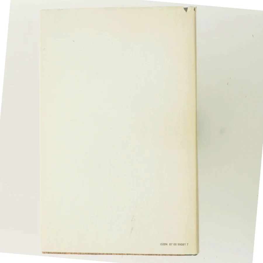 Den sorte obelisk af Erich Maria Remarque (Bog)